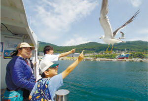 船上でかもめにえさやり体験ができる